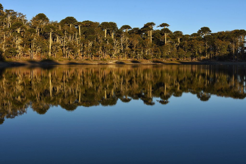 Laguna Alicia