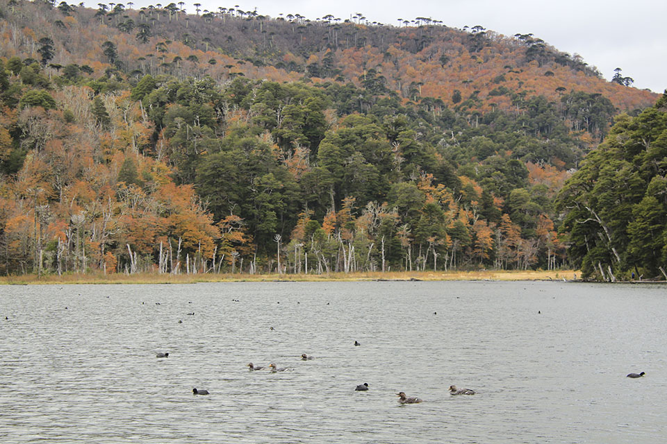 Foto: Turismo Likankura 