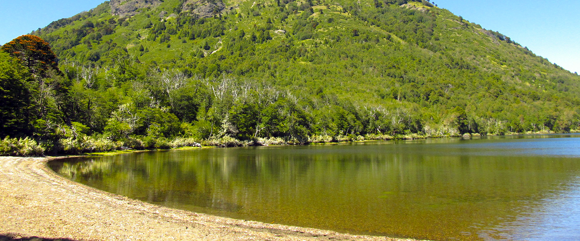 Laguna Hualalafquen