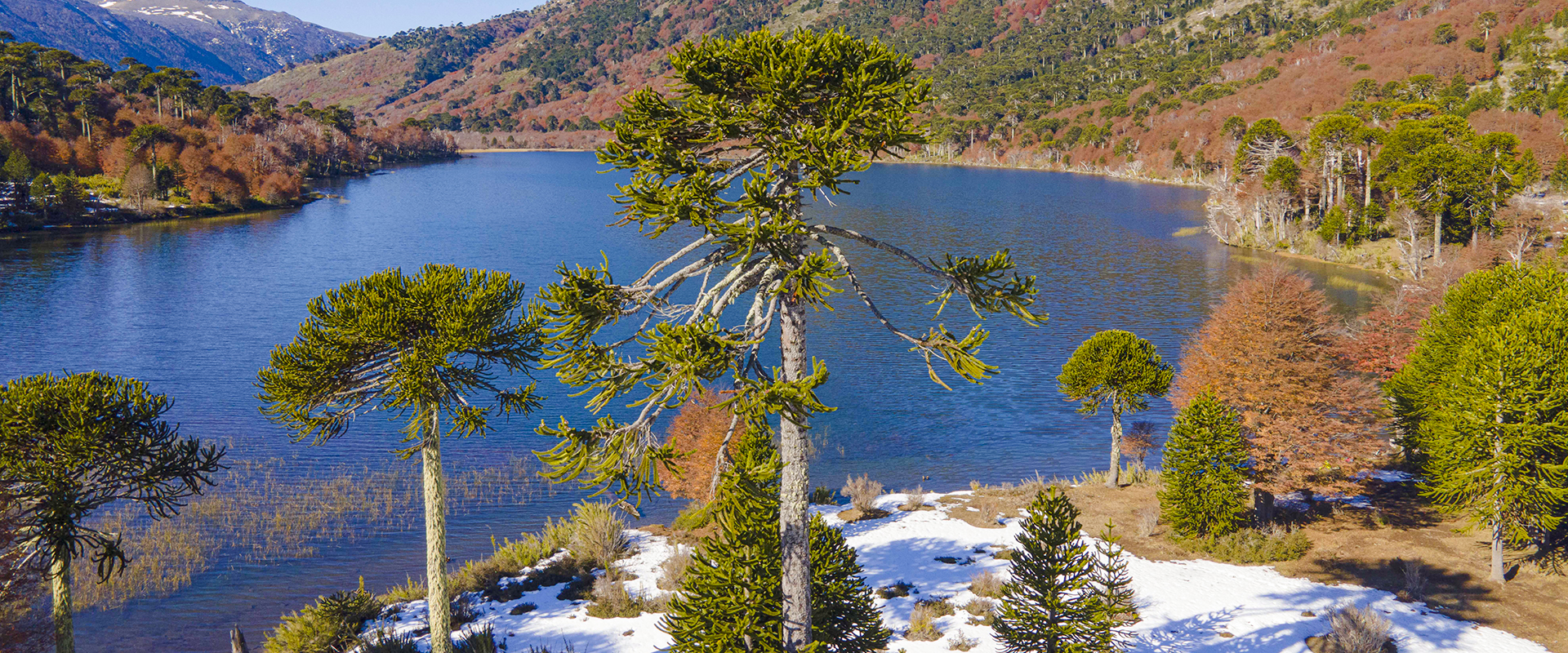 Laguna Huesquefilo