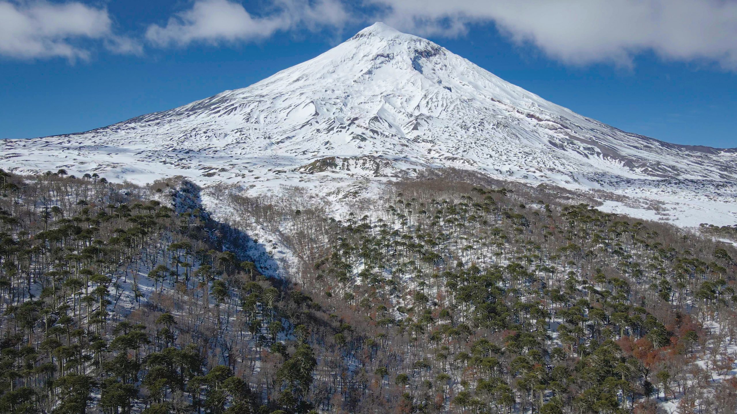 Sendero Momolluco