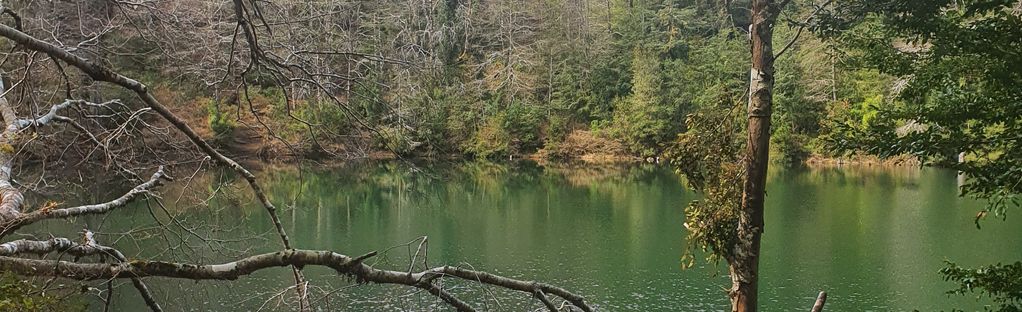 Laguna Verde de Caburgua