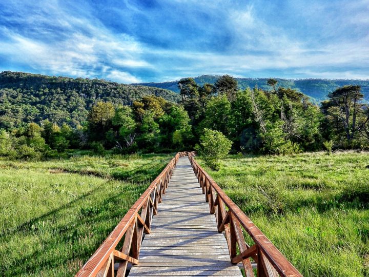 Parque-Nacional-Tolhuaca-cielo-despejado (2)