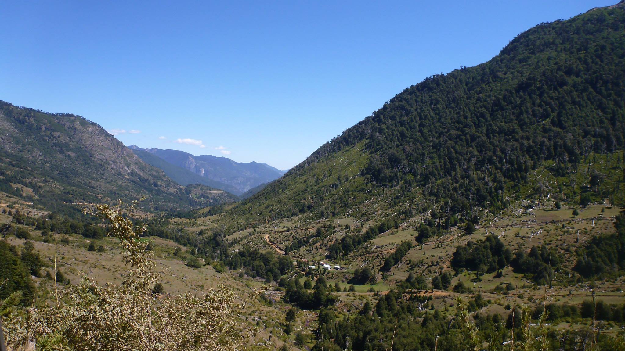 Reserva_Nacional_China_Muerta