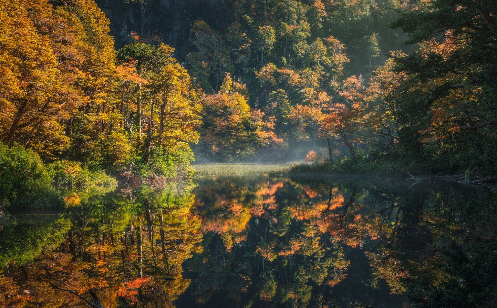 Parque Nacional Huerquehue otoño