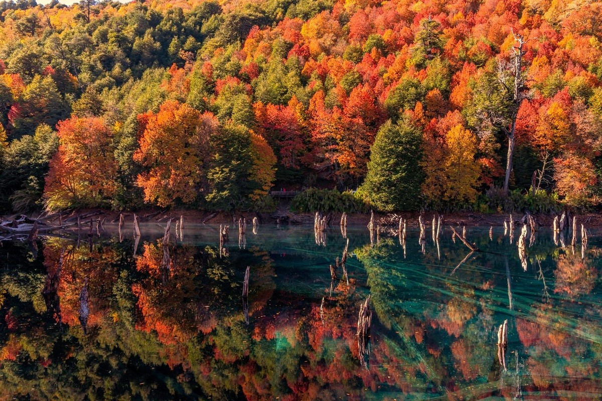 parque nacional conguillio laguna arcoiris 