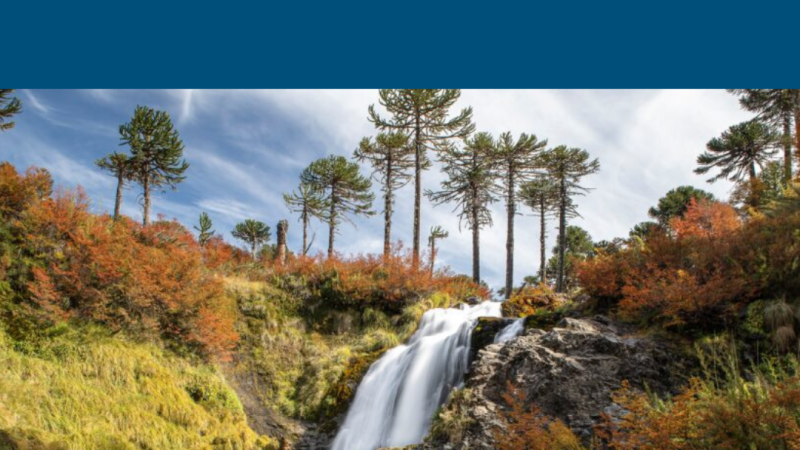 Disfruta del otoño en familia en esta reserva con entrada gratuita de La Araucanía Andina
