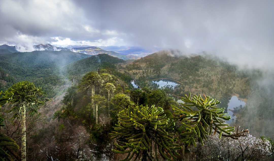 Ruta Destinos Araucanía | 3 días de aventura entre volcanes, bosques y ríos