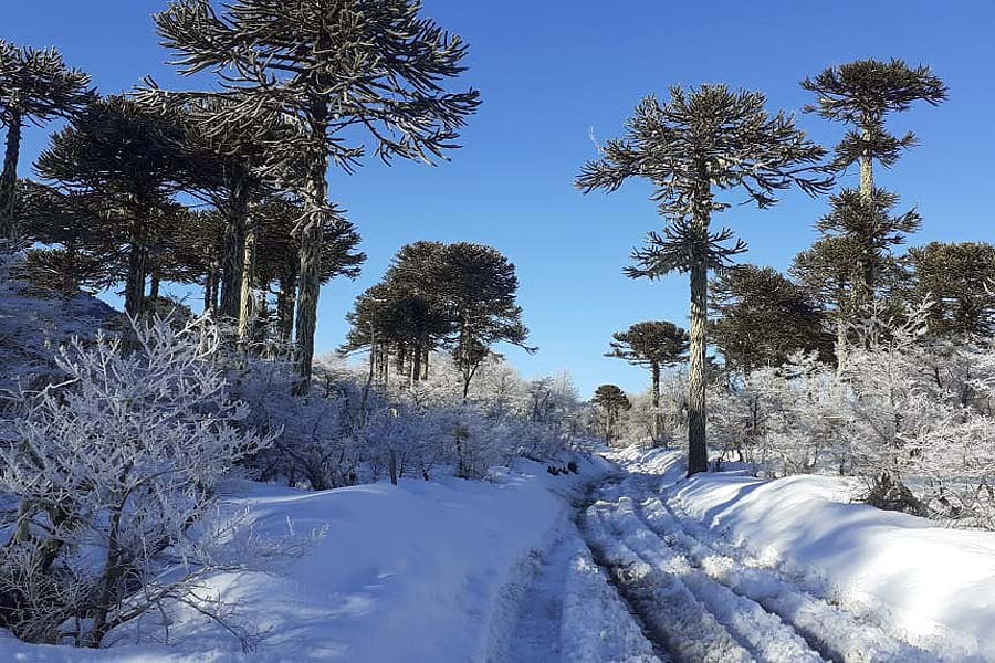 ITINERARIO: Nieve y Aventura en la Araucanía Andina